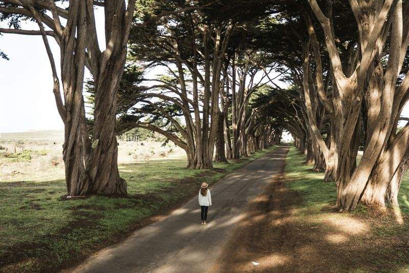 ライフスタイルスタジオ和心 - Image 6